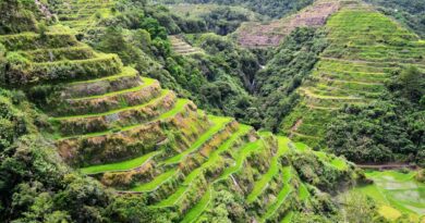 Banaue Rice Terraces