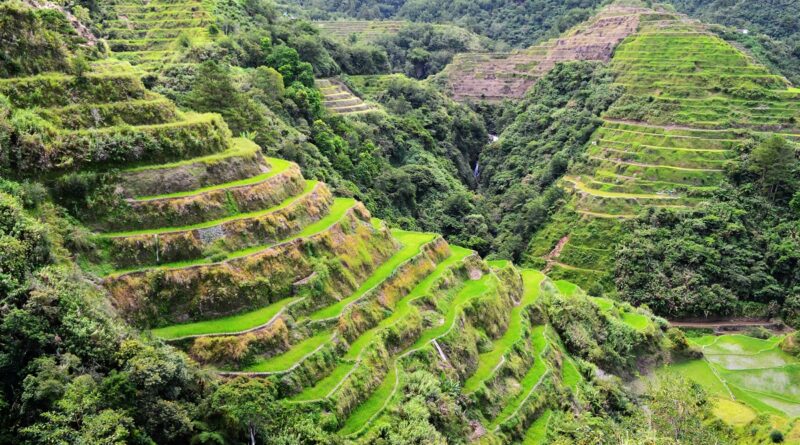 Banaue Rice Terraces
