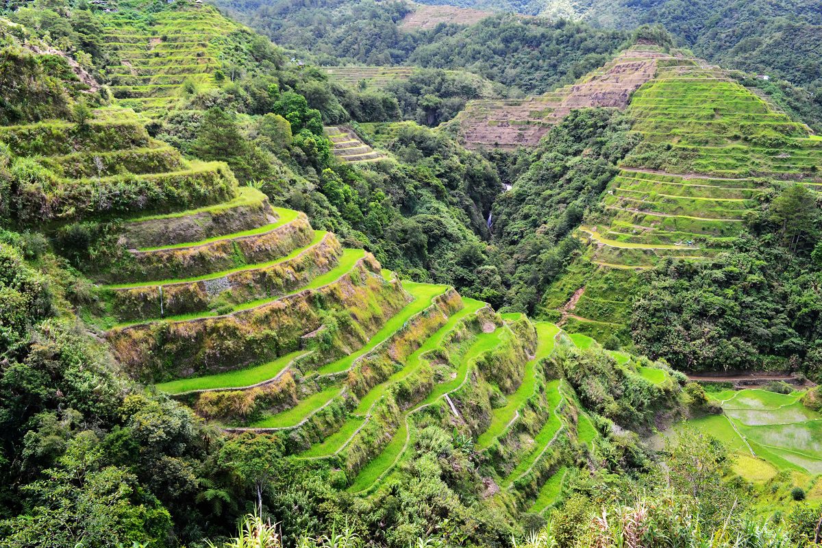 Banaue Rice Terraces