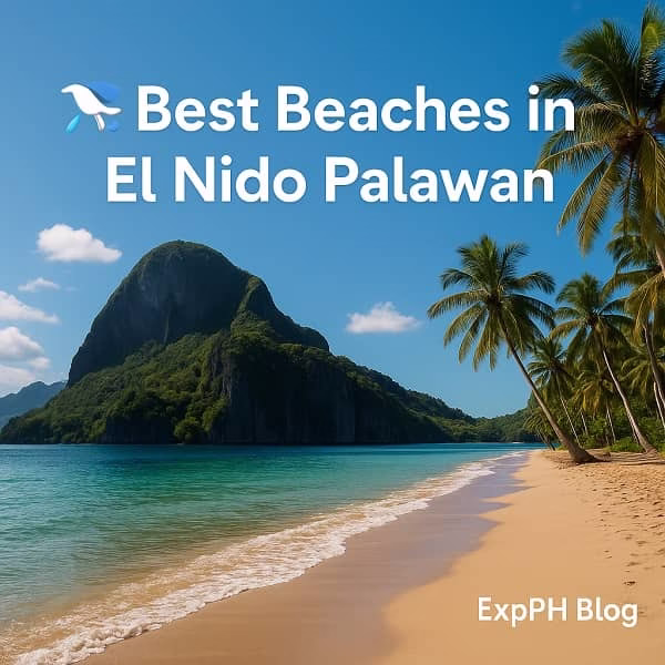 Best Beaches in El Nido Palawan - ExpPH Blog Learning Hub