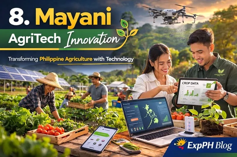 Filipino farmers using smartphones and digital farming technology in agricultural fields representing Mayani agritech innovation connecting farmers to markets in the Philippines with the ExpPH Blog logo.