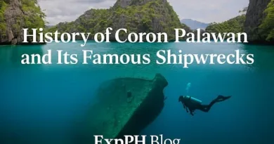 Diver exploring an old shipwreck beneath clear blue water surrounded by limestone cliffs in Coron Palawan.