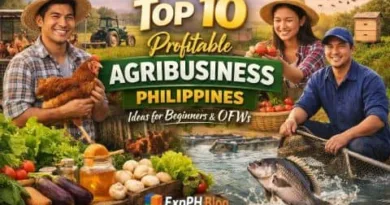 Filipino farmers and agribusiness activities including poultry, vegetables, fish farming, and honey production showing profitable agribusiness ideas in the Philippines for beginners and OFWs