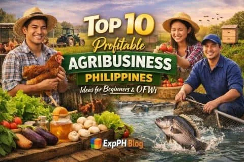 Top 10 Profitable Agribusiness Philippines Ideas for Beginners and OFWs