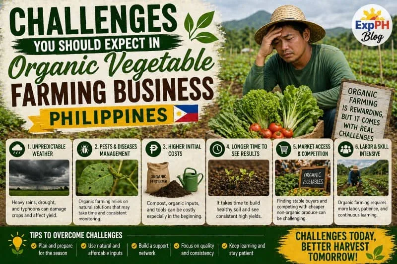 Filipino farmer facing challenges in organic vegetable farming with ExpPH Blog logo showing issues like weather, pests, and costs in the Philippines