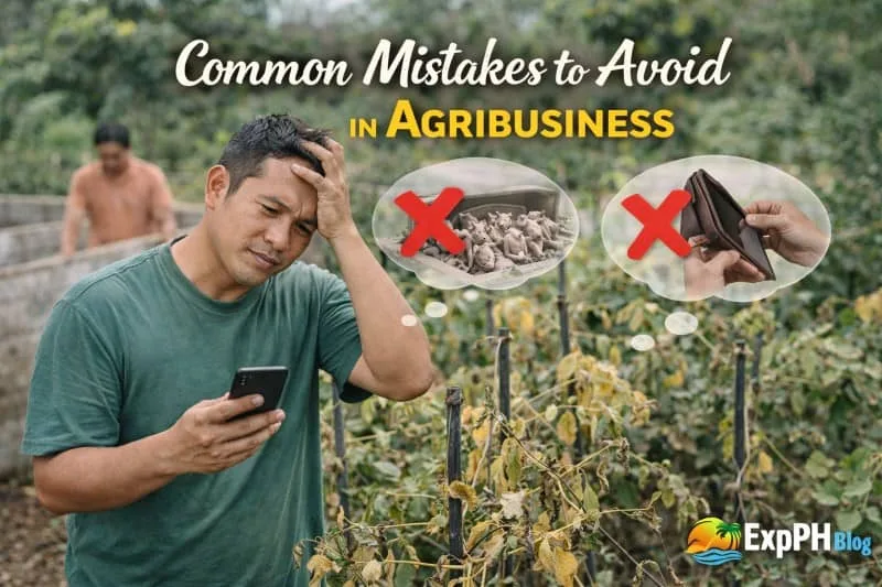 Filipino farmer looking worried while checking crops with signs of mistakes like poor livestock management and lack of budget, with ExpPH Blog logo