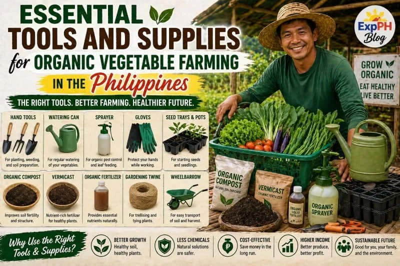 Filipino farmer with organic farming tools and fresh vegetables in a garden with ExpPH Blog logo showing essential tools and supplies for organic vegetable farming