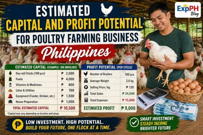 Filipino poultry farmer holding chicken with capital and profit breakdown for poultry farming business Philippines and ExpPH Blog logo