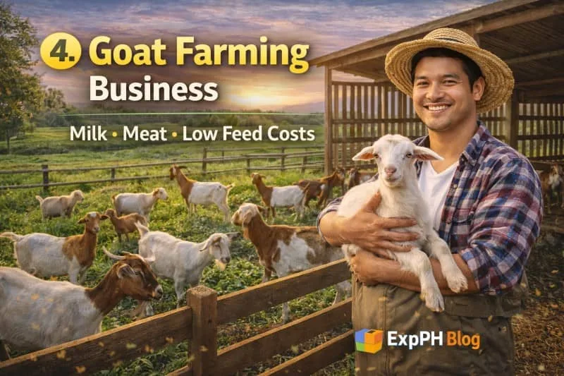 Filipino goat farmer feeding goats in a rural farm setting showing goat farming business in the Philippines with ExpPH Blog logo