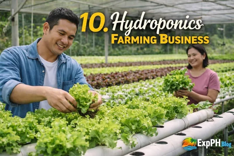 Filipino farmers harvesting lettuce in a hydroponics system inside a greenhouse with ExpPH Blog logo