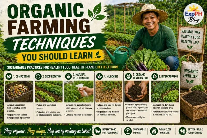 Filipino farmer demonstrating organic farming techniques like composting and pest control in a vegetable farm with ExpPH Blog logo