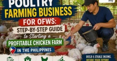 Filipino poultry farmer feeding chickens inside a modern chicken farm with text about poultry farming business for OFWs in the Philippines and ExpPH Blog logo