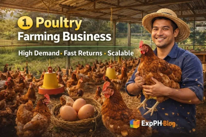 Filipino poultry farmer holding chicken inside a chicken farm with eggs and feeding equipment showing poultry farming business in the Philippines with ExpPH Blog logo