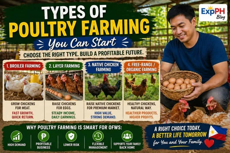 Filipino farmer holding eggs with different poultry farming types including broiler, layer, native, and free-range farming with ExpPH Blog logo