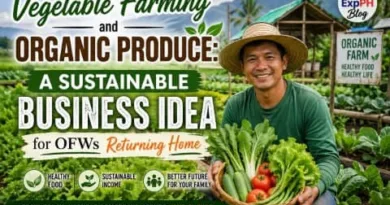 Filipino farmer holding fresh vegetables in an organic farm with ExpPH Blog logo promoting sustainable vegetable farming business for OFWs returning home