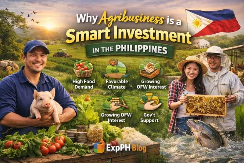 Filipino farmers working in rice fields, vegetable farms, and poultry areas showing agribusiness as a smart investment opportunity in the Philippines with ExpPH Blog branding