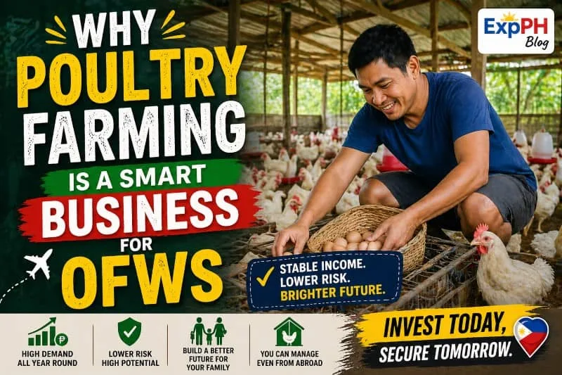 Filipino farmer collecting eggs in a poultry farm with text about why poultry farming is a smart business for OFWs and ExpPH Blog logo