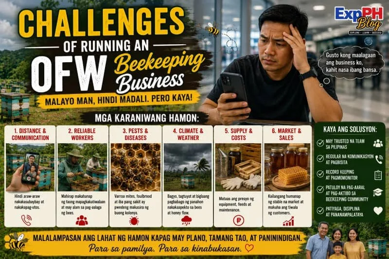 Filipino OFW monitoring a beekeeping business remotely while facing challenges such as weather changes, pests, hive management, and honey production issues.