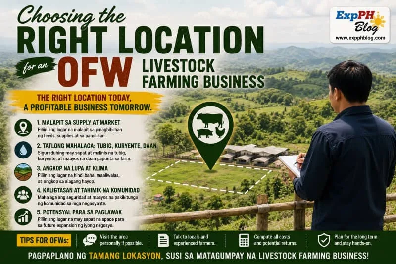 Filipino OFW inspecting farmland while choosing the best location for a livestock farming business in the Philippines.