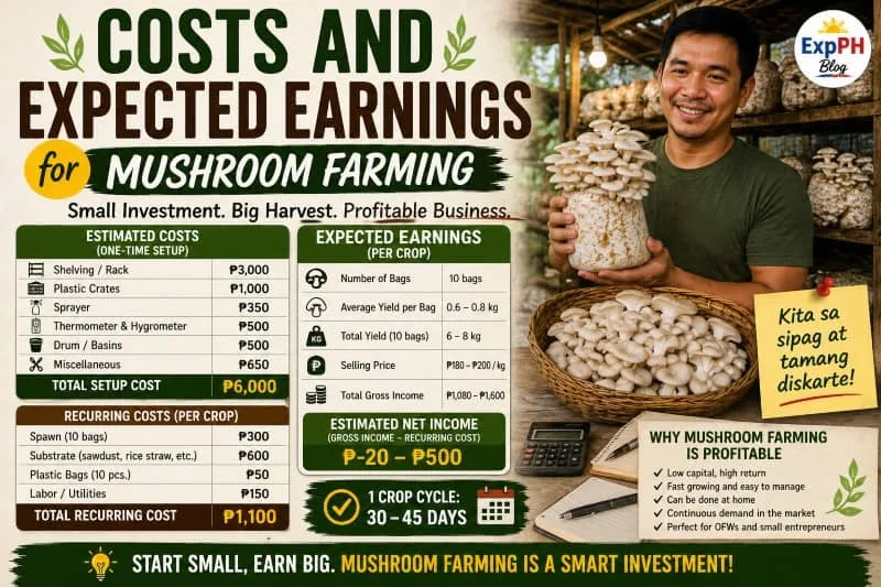 Filipino man holding oyster mushrooms inside a mushroom farm with shelves of fruiting bags, showing costs and expected earnings of mushroom farming business