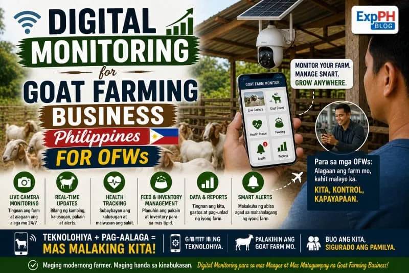 Filipino farmer using smartphone to monitor goat farm remotely showing digital monitoring system for goat farming business Philippines