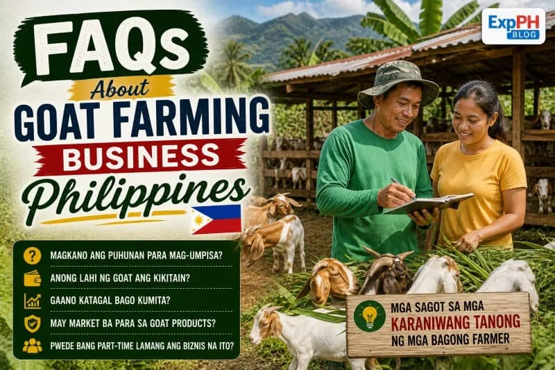 Filipino farmers discussing goat farming while feeding goats in a farm setting showing frequently asked questions about goat farming business Philippines