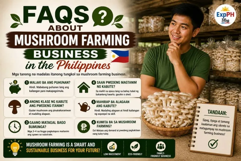 Filipino mushroom farmer inside a growing area with fruiting bags, thinking while holding fresh mushrooms, representing common questions about mushroom farming