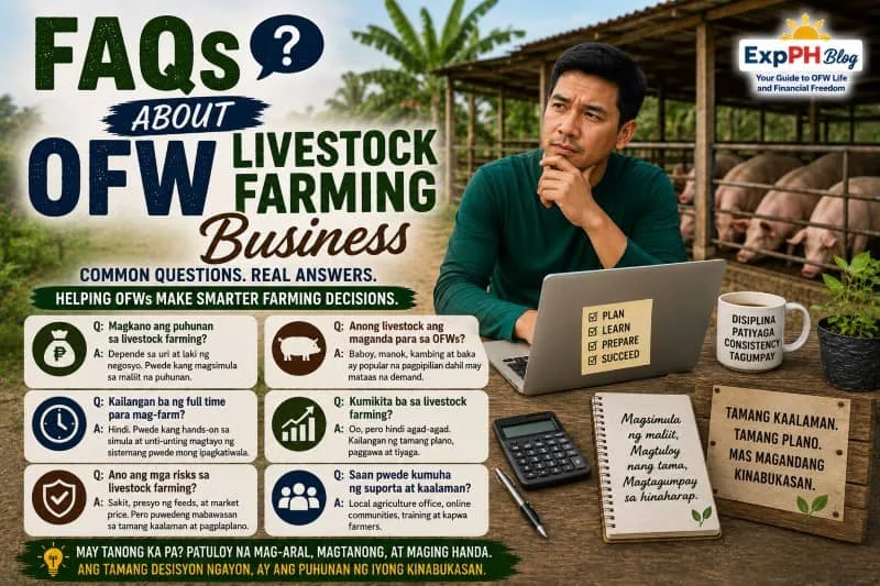 Filipino OFW reviewing livestock farming questions and plans on a laptop beside pig pens with farm notes, calculator, and ExpPH Blog logo.