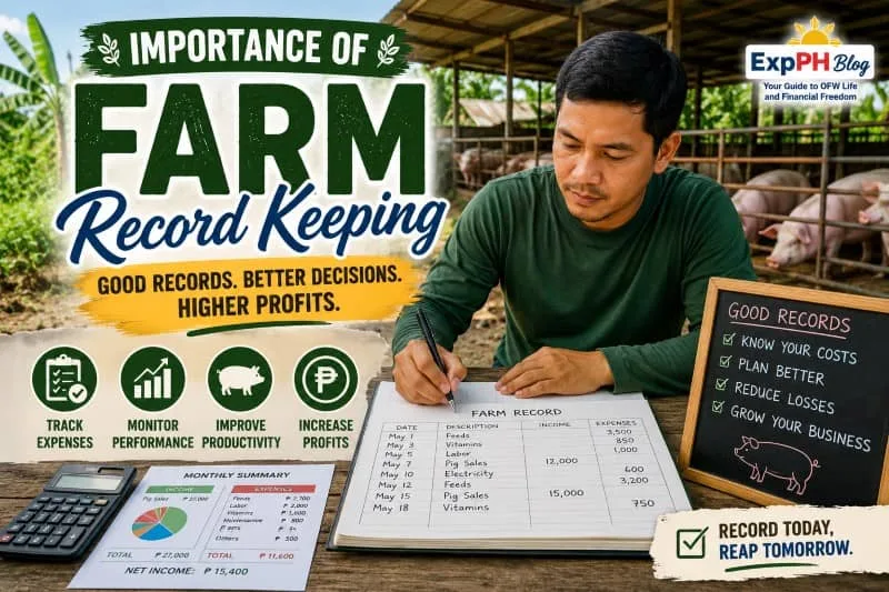 Filipino farmer recording farm expenses, income, and livestock information in a notebook beside pigs and farm records with ExpPH Blog logo.
