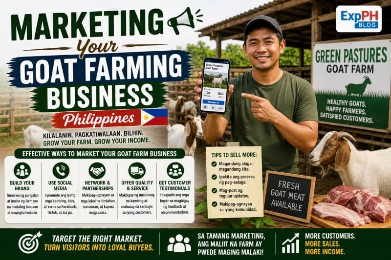 Filipino farmer promoting goat farm using smartphone and showing goats in background for marketing goat farming business Philippines
