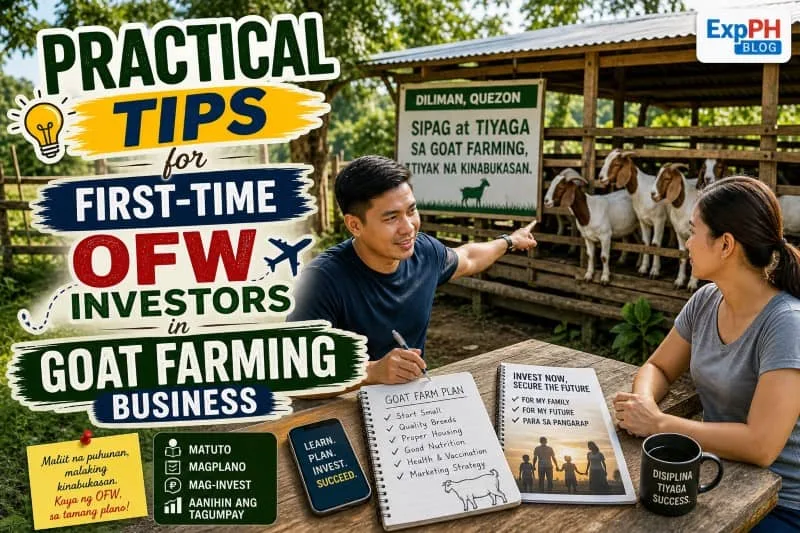 Filipino couple planning goat farming business while observing goats in farm showing practical tips for OFW investors