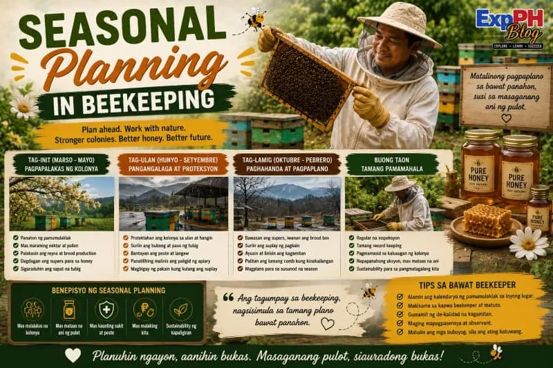 Filipino beekeeper managing beehives and honey production while planning for different beekeeping seasons on a rural farm in the Philippines.