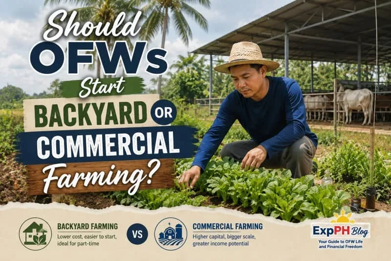 Filipino OFW comparing backyard and commercial farming while working in a realistic vegetable and livestock farm with ExpPH Blog logo.