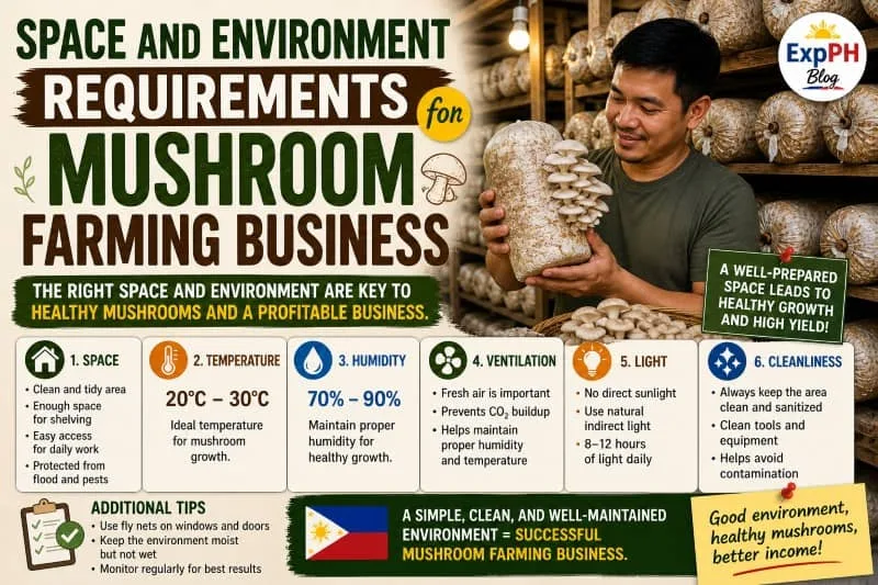 Filipino man holding oyster mushrooms inside a clean indoor mushroom farm with shelves of fruiting bags, showing proper space and environment setup for mushroom farming