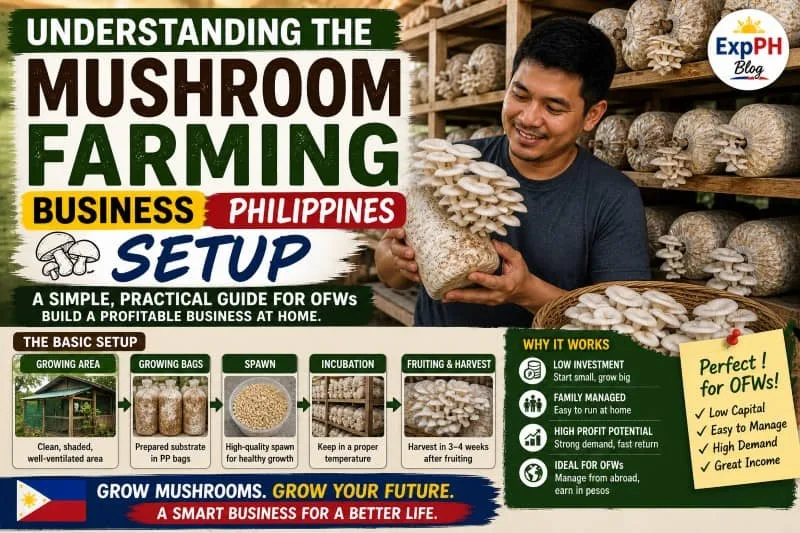 Filipino man holding oyster mushrooms inside a home mushroom farm with shelves of fruiting bags, showing a basic mushroom farming business setup in the Philippines
