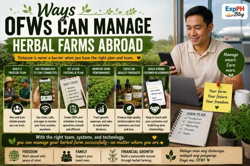 Filipino OFW managing a herbal farm remotely using a smartphone and laptop while monitoring medicinal plants and farm operations from abroad.