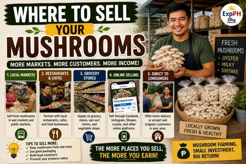 Filipino seller displaying fresh oyster mushrooms in a local market stall with customers, showing different selling options for mushroom farming business