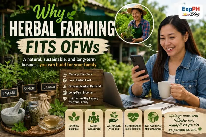 Filipino OFW woman managing a herbal farming business remotely using a smartphone and laptop while surrounded by medicinal plants and wellness products.