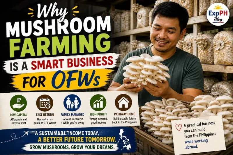 Filipino man holding fresh oyster mushrooms inside a home mushroom farming setup with shelves of fruiting bags, highlighting a smart business opportunity for OFWs
